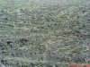 DSC01045.jpg
