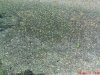 DSC01049.jpg