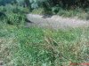 DSC01050.jpg