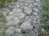 DSC01059.jpg