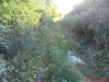 DSC01060.jpg