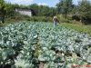 DSC01064.jpg