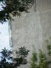 DSCF4409.jpg