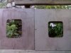 10082011785.jpg