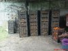 DSC01088.jpg