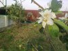 13082011193.jpg
