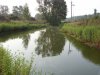 SN851486.jpg