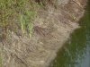 SN851521.jpg