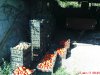 DSC01103.jpg