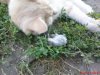 DSC01100.jpg