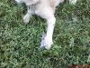 DSC01104.jpg