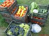 DSC01107.jpg