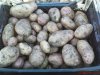 DSC01112.jpg