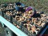 DSC01116.jpg