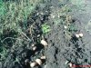 DSC01117.jpg