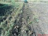 DSC01118.jpg