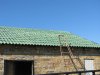 IMG_9299_thumb.jpg