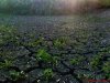 DSC01130.jpg
