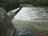 DSC01137.jpg