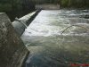 DSC01138.jpg