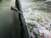 DSC01139.jpg
