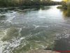 DSC01140.jpg