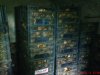 DSC01142.jpg