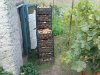 DSC01143.jpg