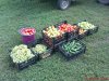 DSC01144.jpg