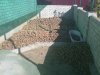 10092011209.jpg
