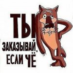 волк.jpg