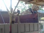 20160930_113530.jpg