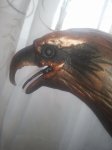 20170129_113451.jpg