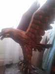 20170129_113645.jpg