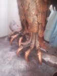 20170129_113607.jpg