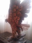 20170129_113740.jpg