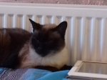 20170209_122044.jpg
