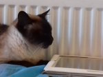 20170209_122059.jpg