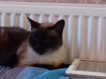 20170209_122042.jpg