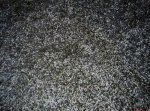 IMG_20170214_150426.jpg