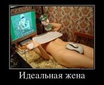 c732e348a962e38c4b4e30e44ea9f18fb58c6c88_1.jpg