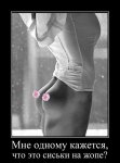 1488141446-picsay.jpg
