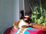 20170301_124721.jpg