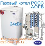 482835256_w640_h640_ross_tsentralnaya_24.jpg