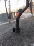 20170307_170310.jpg