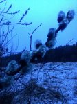 P_20170312_064228.jpg