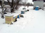 20170206_112744.jpg