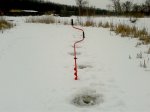 20170221_120217.jpg