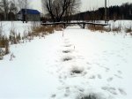 20170221_120327.jpg