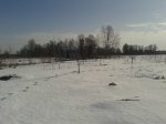 20170301_112146.jpg